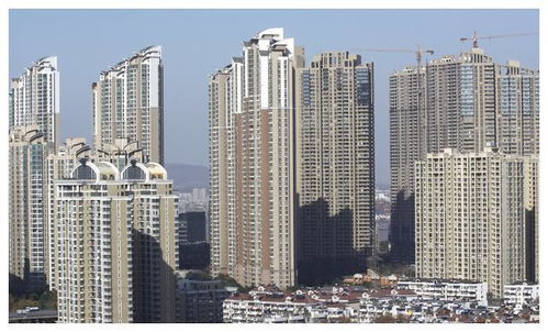 房市將迎來5大變革 2025年購(gòu)房前須知的關(guān)鍵趨勢(shì)|文旅新房源的想象力在后疫情時(shí)代迸發(fā)