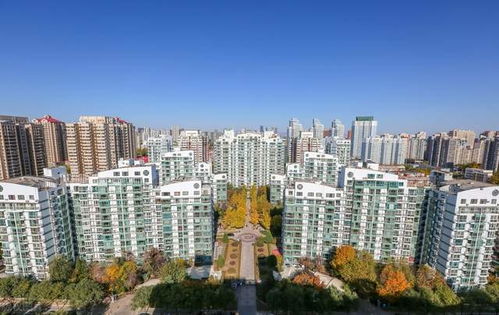 又一大佬折戟房地產(chǎn) 開發(fā)樓盤爛尾多年，被限制高消費(fèi)19次
