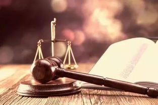 2017年度法治熱詞連連看 一覽中國法治新變化